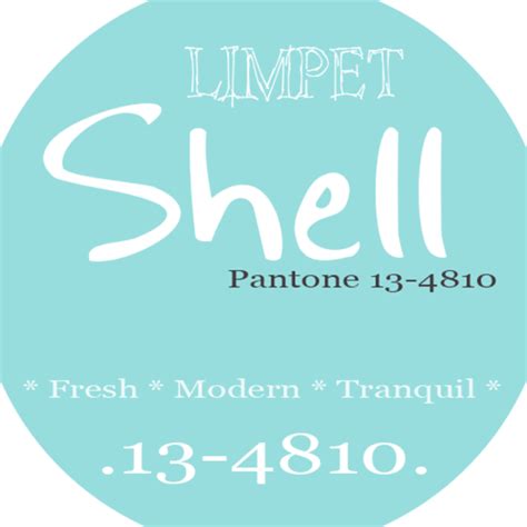 PANTONE LIMPET SHELL - Concepts and Colorways