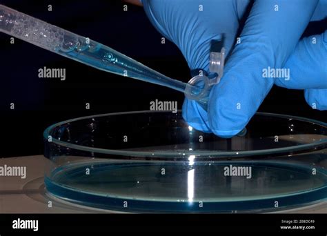 Experimentos de laboratorio hi-res stock photography and images - Alamy