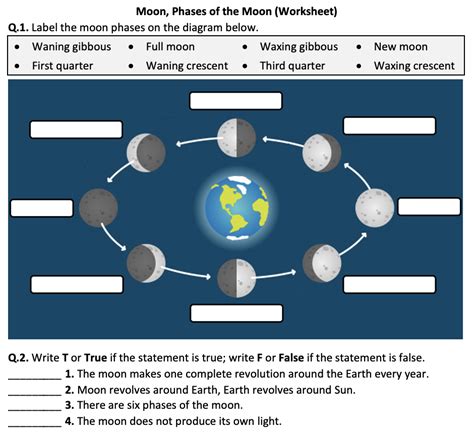 Phases Of The Moon Worksheet – Pro Worksheet