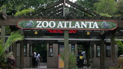 Zoo Atlanta Tours | GetYourGuide