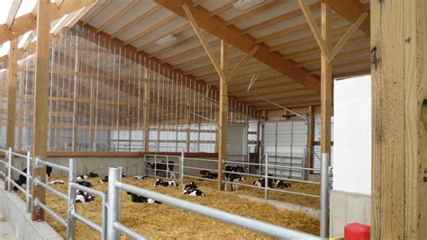 Inside the progressive calf barn in Lake Mills, WI Rinder Stall ...