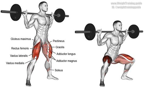 Barbell sumo squat exercise instructions and video | Weight Training ...