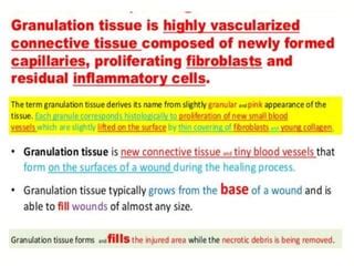 GRANULATION TISSUE.pptx