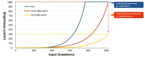 The Ins and Outs of HDR ― Gamma Curves | EIZO