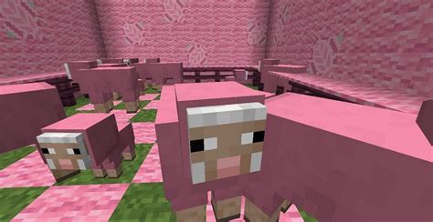 Pink sheep in Minecraft: Everything you need to know