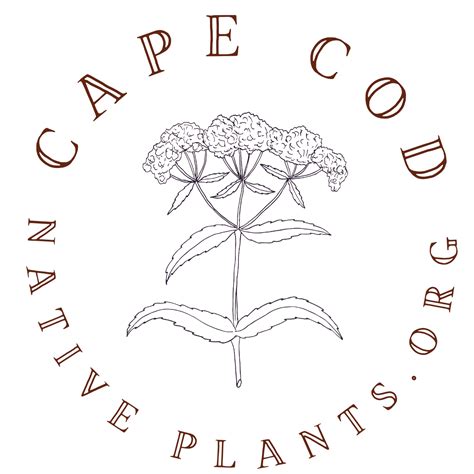cape-cod-native-plants | Cape Cod Native Plants