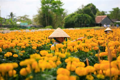 Làng Hoa Sa Đéc Đồng Tháp - Hướng dẫn du lịch Làng Hoa Sa Đéc - Chuyên Trang Chia Sẻ Kiến Thức ...