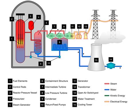 Pressurized Water Reactor (PWR) Vessel Explained - saVRee