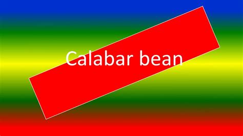 calabar bean - YouTube