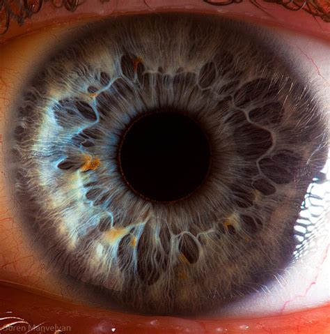 Amazingly Revealing Macro Photos of the Human Eye