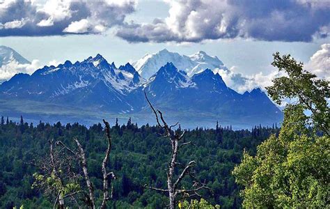 Princess Wilderness Lodge | Fireplace | Mt McKinley | Denali