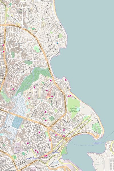 Editable City Map of Dar es Salaam – Map Illustrators