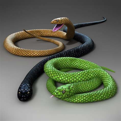 snake rigged 3d model