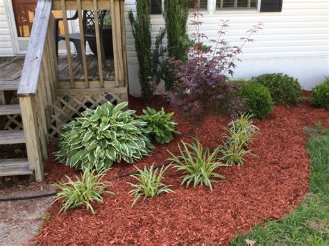 Hostas and verigated monkey grass. Red mulch makes it stand out. | Mulch landscaping, Lawn and ...