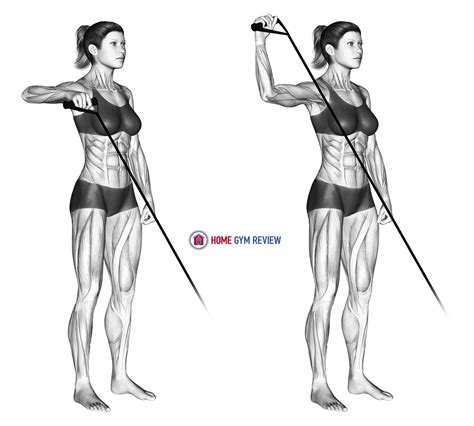 Band Upright Shoulder External Rotation - Home Gym Review