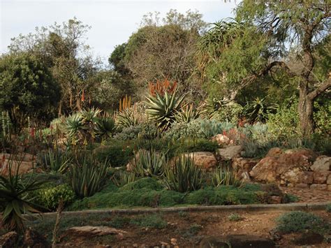 Walter Sisulu National Botanic Garden