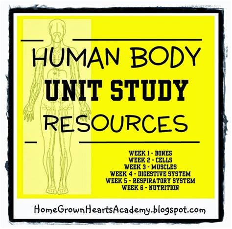 Home Grown Hearts Academy Homeschool Blog: Human Body Unit Study Resources
