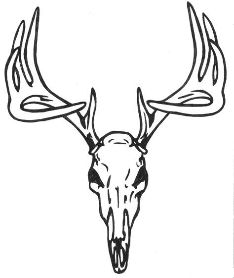 Deer Head Outline Drawing at PaintingValley.com | Explore collection of ...