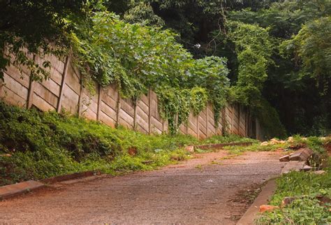 Tarred Road With Wall & Vegetation Free Stock Photo - Public Domain Pictures