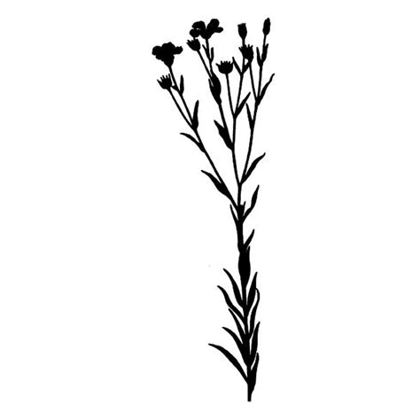 wild flower silhouette (free download) | Flower silhouette, Silhouette free, Herbs image