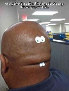 14 Bald people funny ideas | funny, funny pictures, hilarious