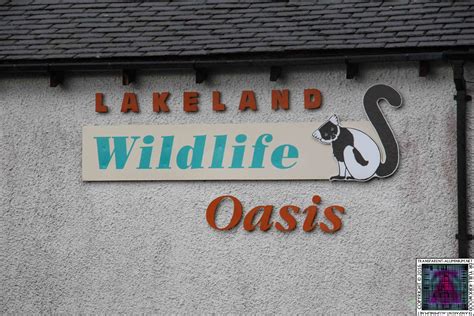 Lakeland Wildlife Oasis – Others | Transparent-Aluminium.net