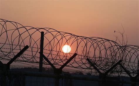 India To Install Smart Border Fence Along Indo-Pak, Indo-Bangladesh ...