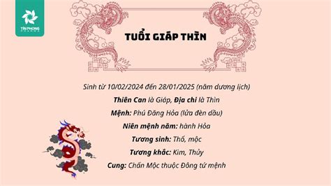 Sự khác biệt giữa Thìn đẹp là gì Và gầy đẹp