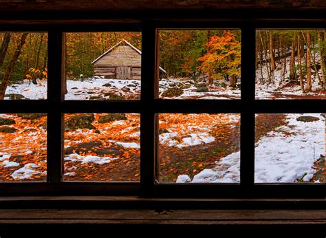 nature, Forest, Window, Fall, Snow, Winter Wallpapers HD / Desktop and ...