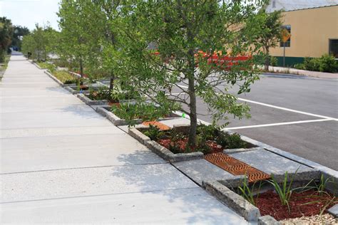 Portland greenstreets | Streetscape design, Green street, Gardens of babylon