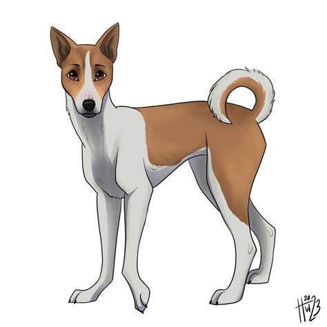 Doggust Day 1 - Aspin Dog by HannahBlossom on DeviantArt