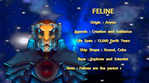 THE STAR RACES - FELINE - YouTube