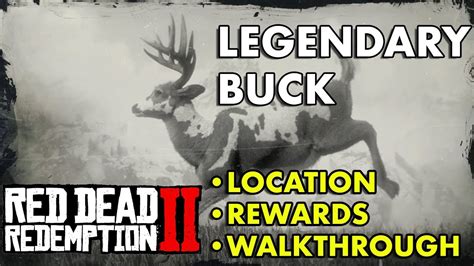 Red Dead Redemption 2 - Legendary Buck (Location, Rewards, Walkthrough ...