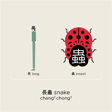 an image of a ladybug with chinese characters on it