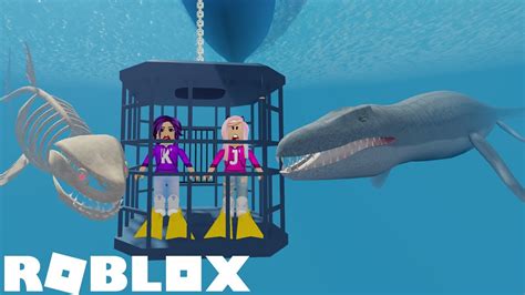 Escape Do Tubarao No Roblox Shark Simulator Youtube - Roblox Doctor ...