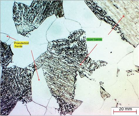 Development of Dual Phase Microstructure in Medium Carbon Low Alloy ...