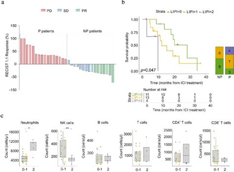 Clinical stratification of enrolled NSCLC patients and their... | Download Scientific Diagram