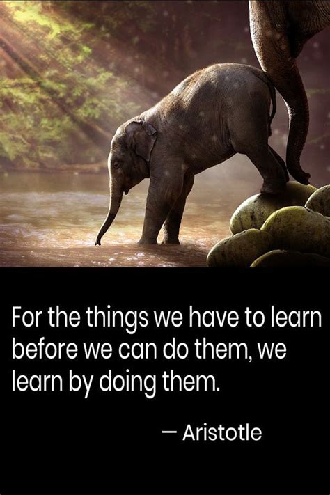 Quote about learning in life. A mother elephant nudging a baby elephant into the water. #quotes ...