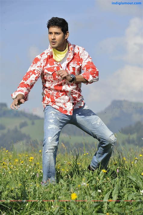 Dookudu Telugu Movie Photos Stills - photo #151978