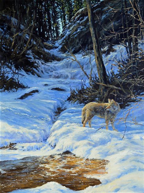 Coyote at Spring Creek Painting by Jim Young - Fine Art America