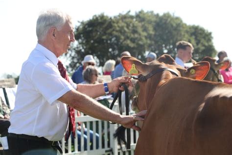 THE AUTUMN CATTLE SHOW - Rural - Jersey Country Life Magazine