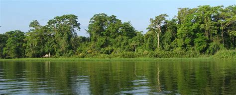 Tortuguero National Park