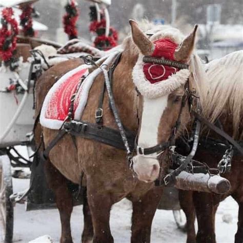 Ultimate Frankenmuth Christmas Guide: Fairytale Hallmark Christmas Town Come to Life - My ...