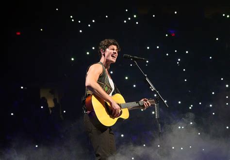 Shawn Mendes Postpones Tour Until Further Notice Due To Mental Health ...