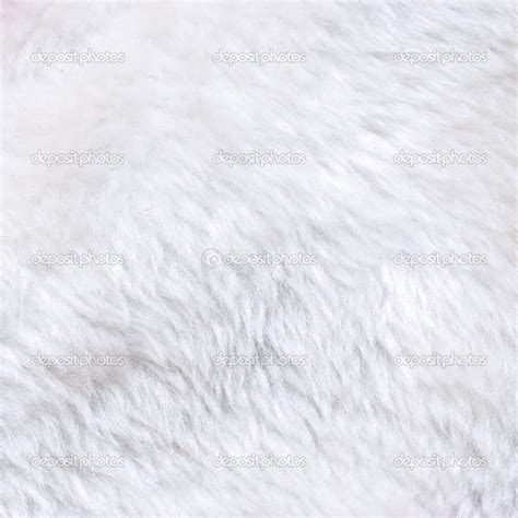 White fur texture — Stock Photo © ccat82 #19951175