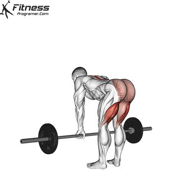 How To Do Stiff Leg Deadlift - Muscles Worked And Benefits