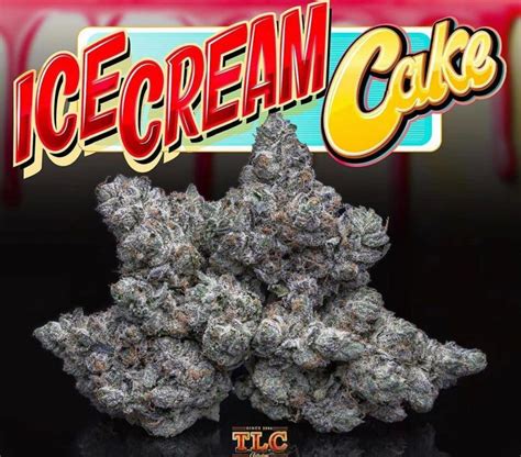 Buy Ice Cream Cake Jungleboys Online - WEST COAST NUGZ SHOP