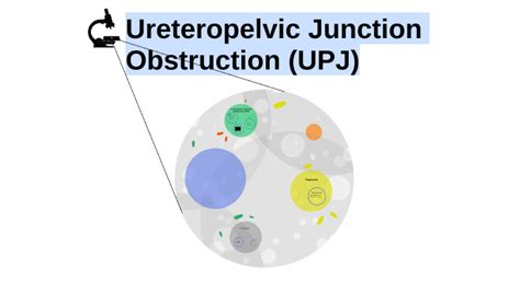 Concept Map UPJ by Michael Budzak on Prezi