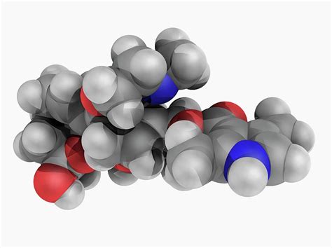 Batrachotoxin Poison Molecule Photograph by Laguna Design/science Photo Library - Fine Art America