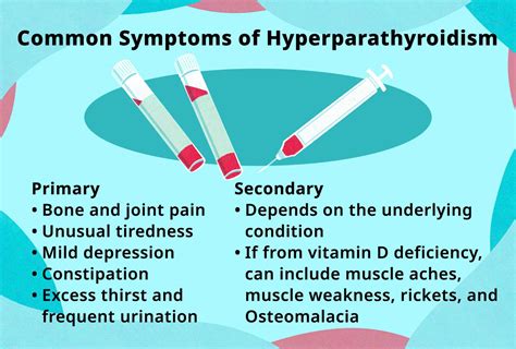 Secondary Hyperparathyroidism: What Is It And How Is It, 51% OFF